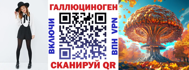 где купить   блэк спрут маркетплейс  Галлюциногенные грибы Psilocybine cubensis  Нурлат 